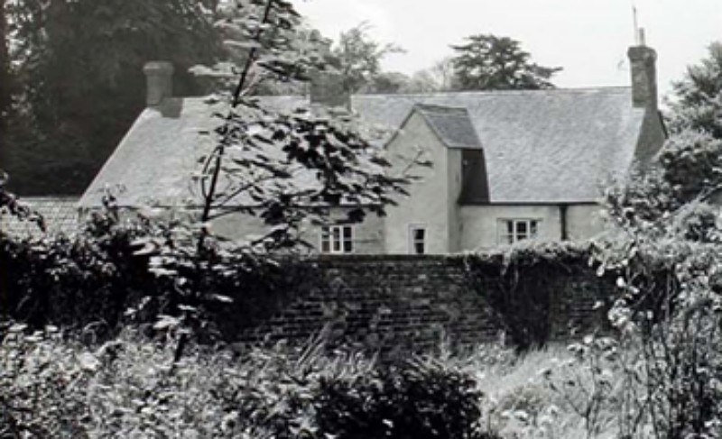Rear in 1995